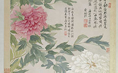 书画高清-山水花鸟图册之牡丹 恽寿平 清代 书画高清-山水花鸟图册之牡丹 恽寿平 清代